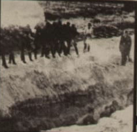 Mass Extermination