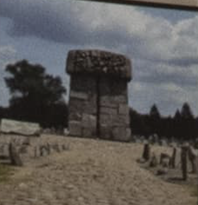 German army occupies Hungary